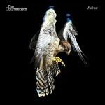 Falcon - CD Audio di Courteeners