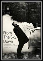 U2. From The Sky Down (DVD)