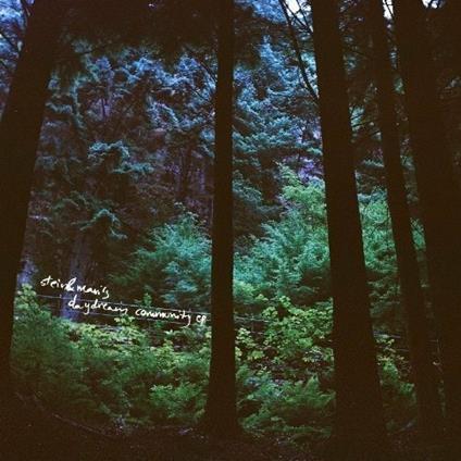 Stein & Mari's Daydream Community - Vinile LP di Mari Kvien Brunvoll,Stein Urheim