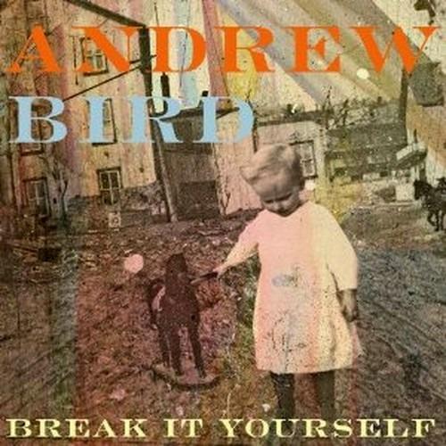 Break It Yourself - CD Audio + DVD di Andrew Bird