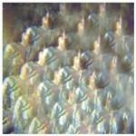 Into the Diamond Sun - CD Audio di Stealing Sheep