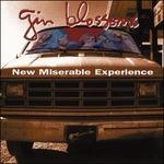 New Miserable Experience