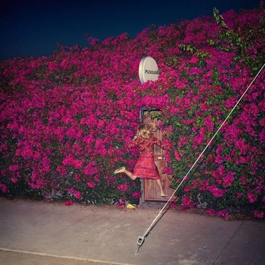 Pleasure - CD Audio di Feist