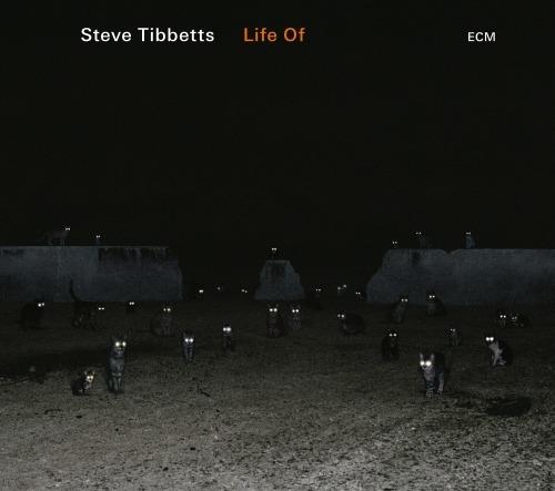 Life of - CD Audio di Steve Tibbetts