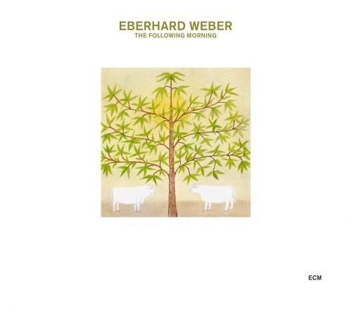 The Following Morning - CD Audio di Eberhard Weber