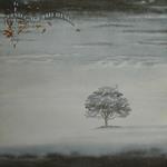 Wind and Wuthering