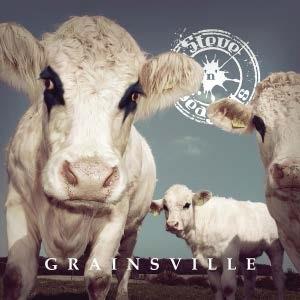 Grainsville - CD Audio di Steve n Seagulls
