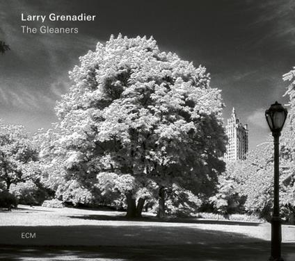 The Gleaners - CD Audio di Larry Grenadier
