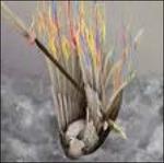 Paper Wings - Vinile LP di Henrietta