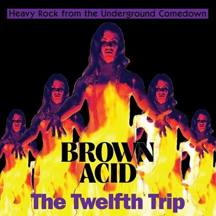 Brown Acid. The Twelfth Trip - Vinile LP