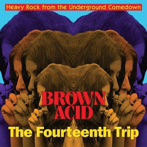 Brown Acid - The Fourteenth Trip - Vinile LP