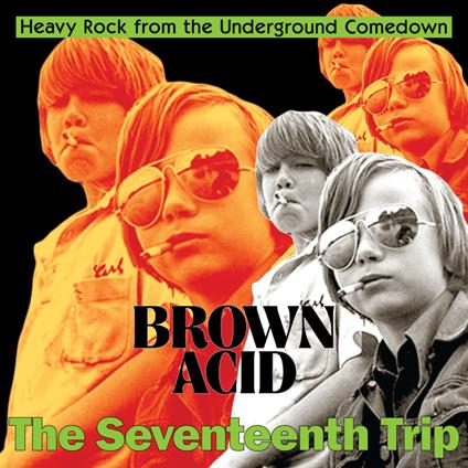 Brown Acid - The Seventeenth Trip - Vinile LP