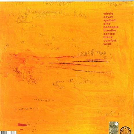 Colourmeinkindness - Vinile LP di Basement - 2