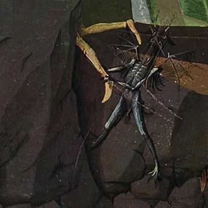 Hemisphere of Shadows - Vinile LP di Danava