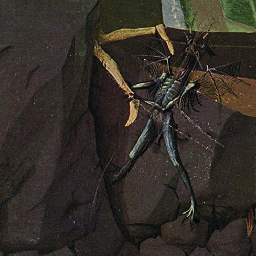 Hemisphere of Shadows - Vinile LP di Danava