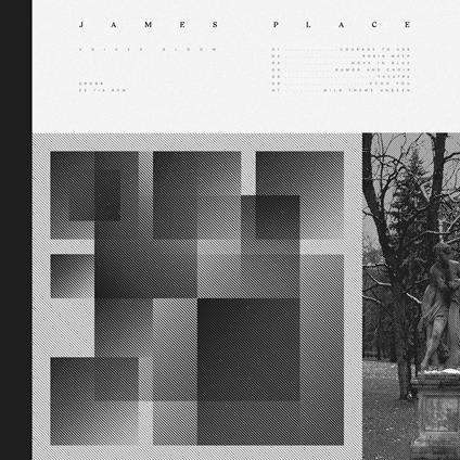 Voices Bloom - Vinile LP di James Place