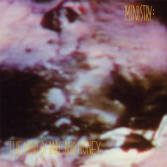 The Land Of Rape And Honey - Vinile LP di Ministry