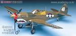 Aereo P-40 WARHAWK 1/72 (AC12465)