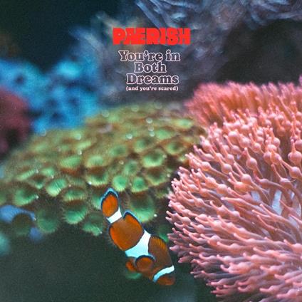 You're In Both Dreams (And You're Scared) - CD Audio di Paerish