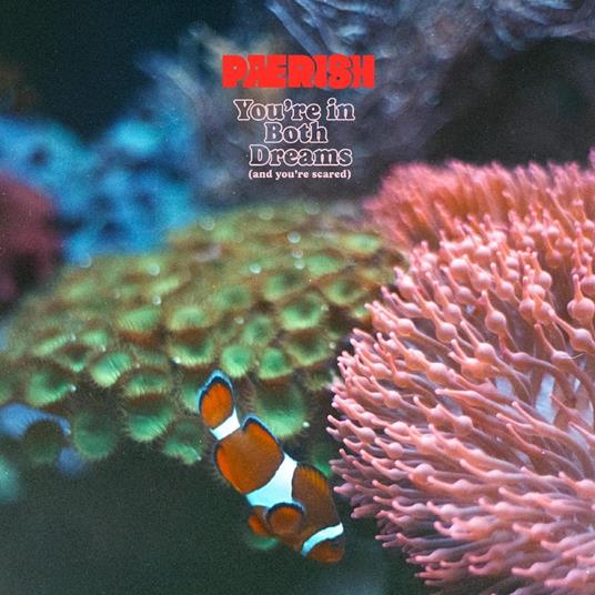 You're In Both Dreams (And You're Scared) - CD Audio di Paerish
