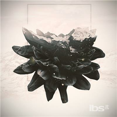 ibs