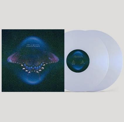 Swallowtail - Chrysalis - Vinile LP di She's Green