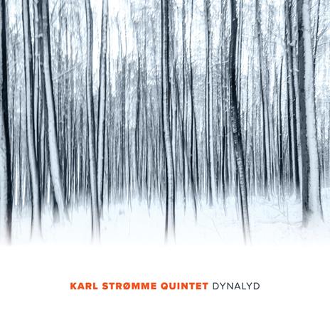 Dynalyd - CD Audio di Karl Stromme