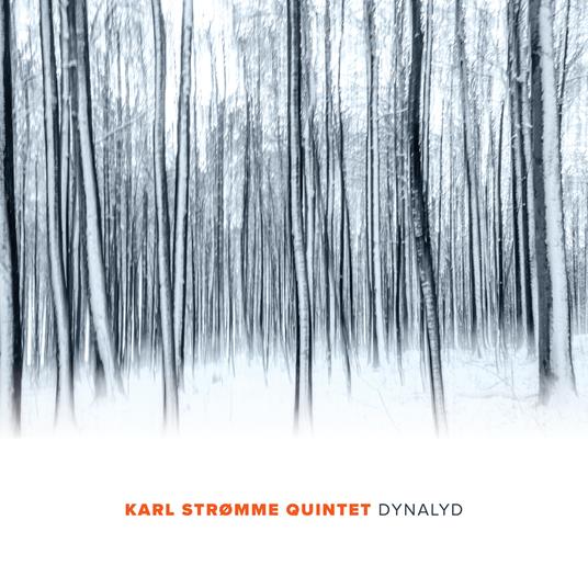 Dynalyd - Vinile LP di Karl Stromme