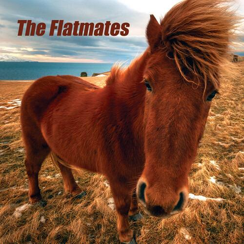 Flatmates - Vinile LP di Flatmates