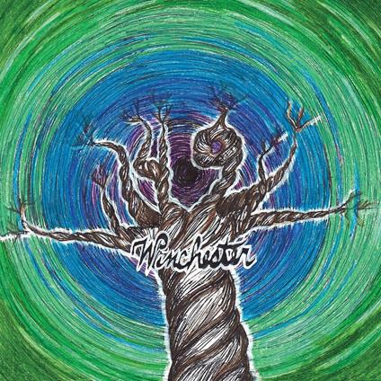 49 Winchester - Vinile LP di 49 Winchester