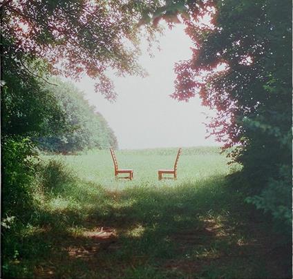 Singin' To An Empty Chair - Vinile LP di Ratboys