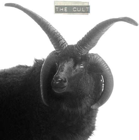 The Cult (White Ivory Vinyl) - Vinile LP di The Cult