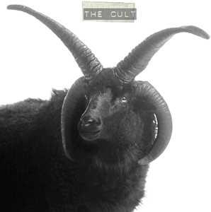 Vinile The Cult Cult