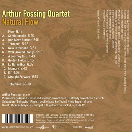 Natural Flow - CD Audio di Arthur Possing - 2