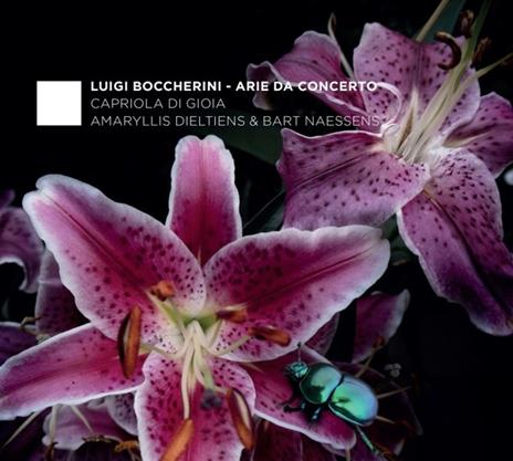 Arie da concerto - CD Audio di Luigi Boccherini