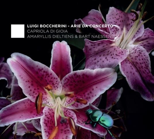 Arie da concerto - CD Audio di Luigi Boccherini