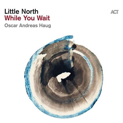 While You Wait - Vinile LP di Little North