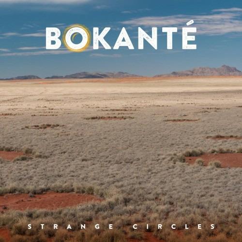 Strange Circles - CD Audio di Bokanté