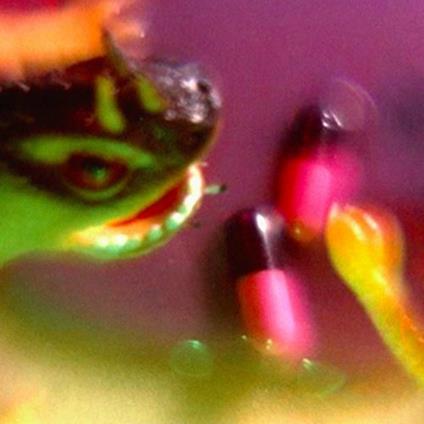 Take the Fall - Vinile LP di Bush Tetras