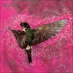 CD Girl.Echo.Suns.Veils di Lovesliescrushing