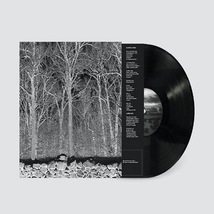 Sunshine And Balance Beams - Vinile LP di Pile