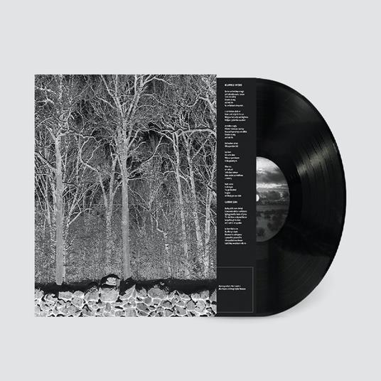 Sunshine And Balance Beams - Vinile LP di Pile