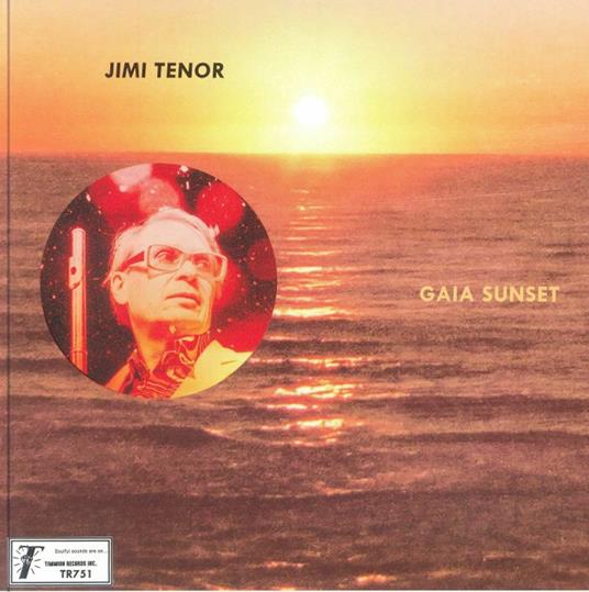 Gaia Sunset - Vinile LP di Jimi Tenor