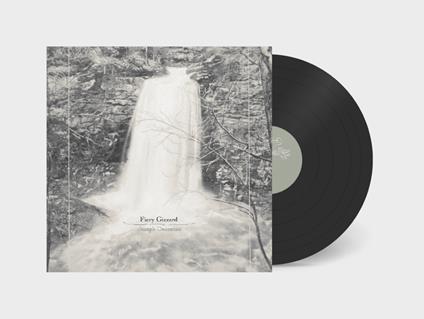 Fiery Gizzard - Vinile LP di Joseph Decosimo