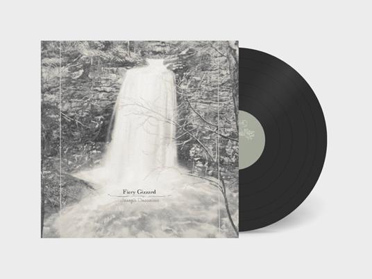 Fiery Gizzard - Vinile LP di Joseph Decosimo