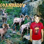 Below the Radio - CD Audio di Grandaddy