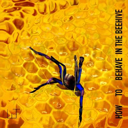 How To Behave In The Beehive - CD Audio di Stadt