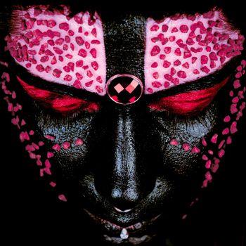 Animami - Vinile LP di Dalila Kayros