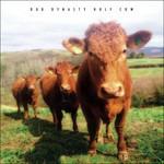 Holy Cow - CD Audio di Dub Dynasty