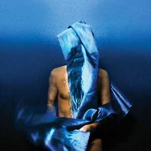 Vinile Flying Wig Devendra Banhart